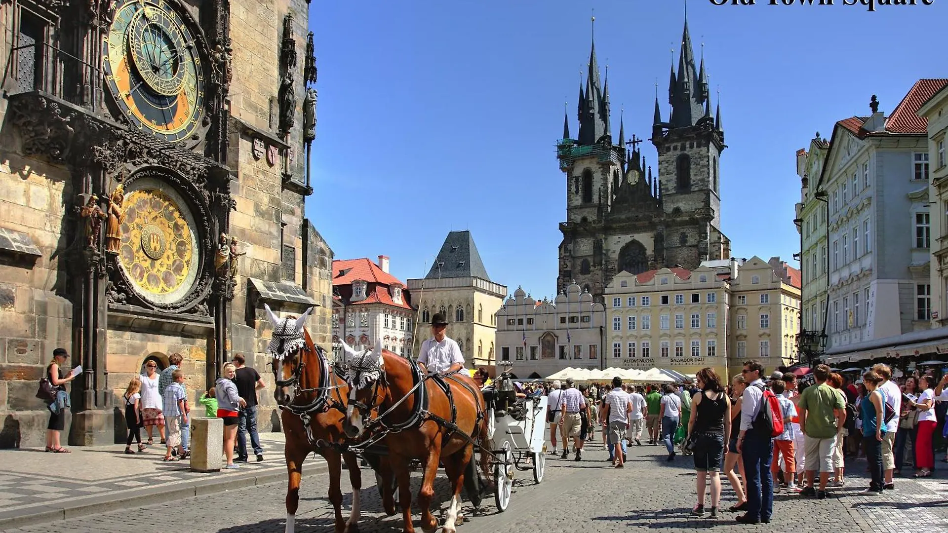 Stylish Apartment In Heart Of Zizkov Near Iconic Sites Prague